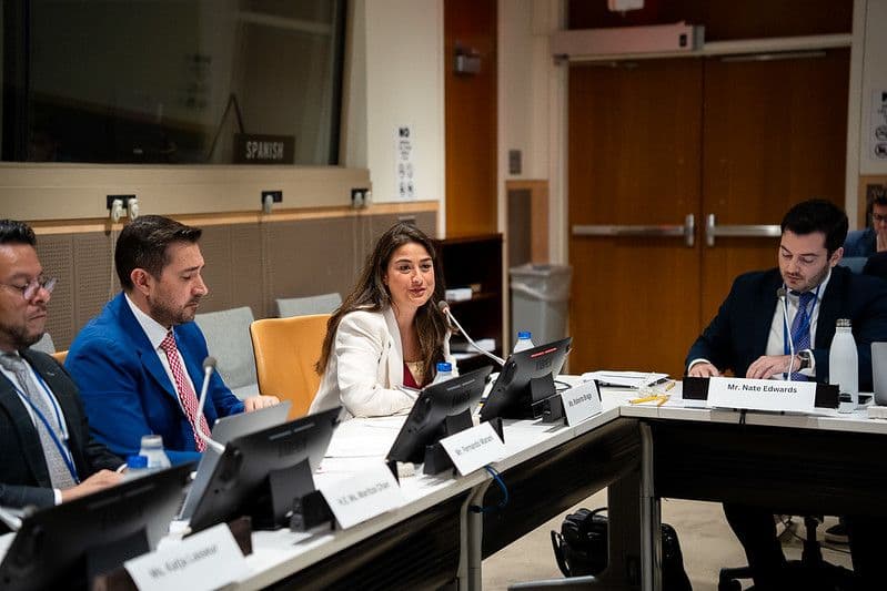 UN Roberta Braga.jpg